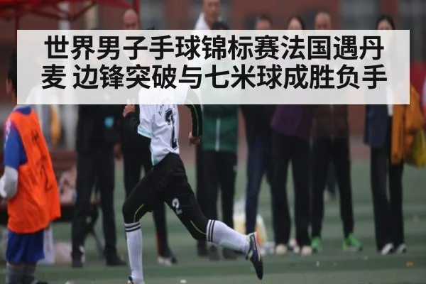世界男子手球锦标赛法国遇丹麦 边锋突破与七米球成胜负手